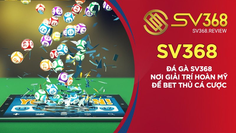 Đá Gà SV368 - Nơi Giải Trí Hoàn Mỹ Để Bet Thủ Cá Cược