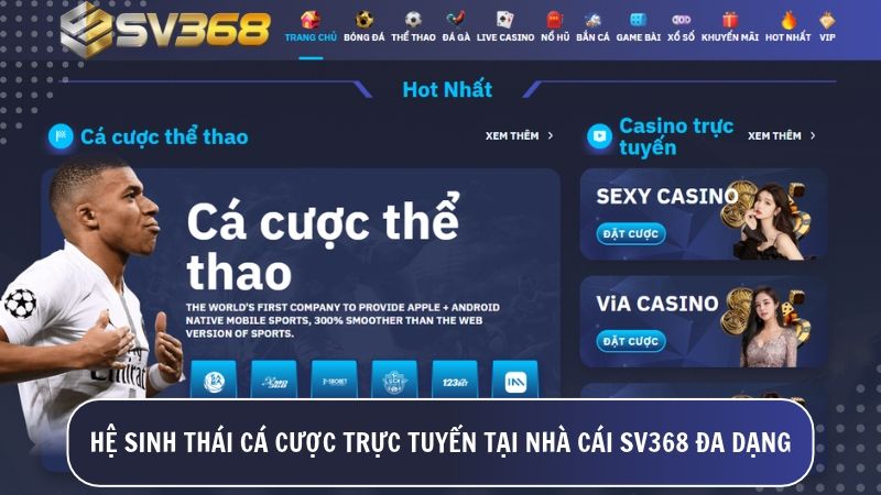 Hệ sinh thái cá cược đỉnh cao tại SV368 với các sảnh đá gà Thomo trực tiếp, Live Casino hiện đại và cá độ thể thao chuyên nghiệp.