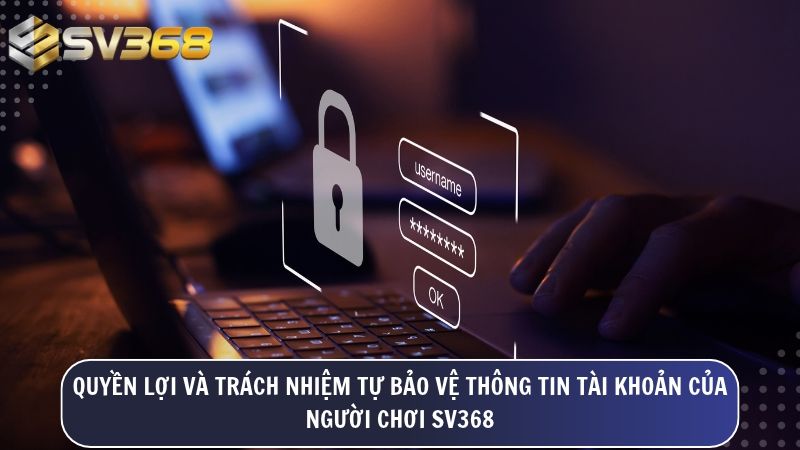 Cơ chế quản lý Cookie an toàn giúp hệ thống ghi nhớ tùy chọn đăng nhập và tối ưu tốc độ tải trang cho người dùng.